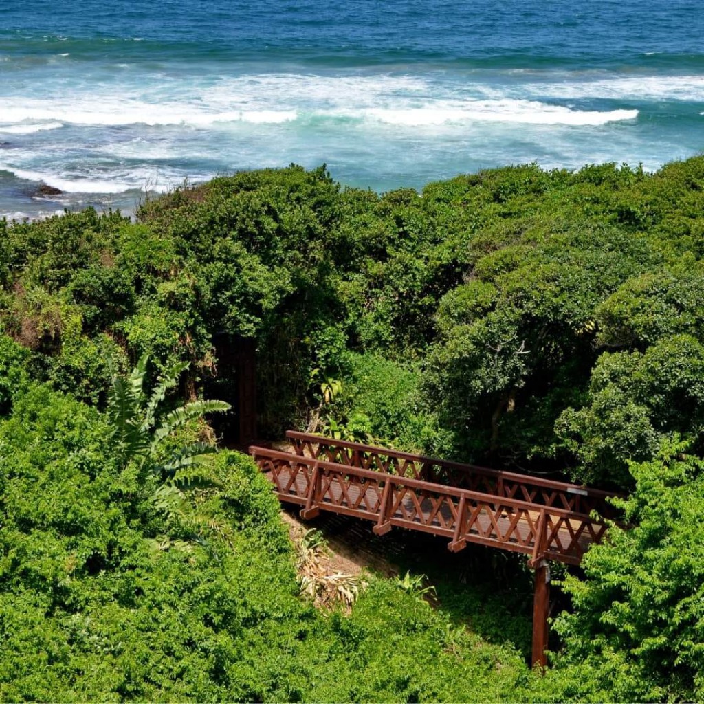 325889454_582920866984984_5929587964460703526_n 325889454_582920866984984_5929587964460703526_n