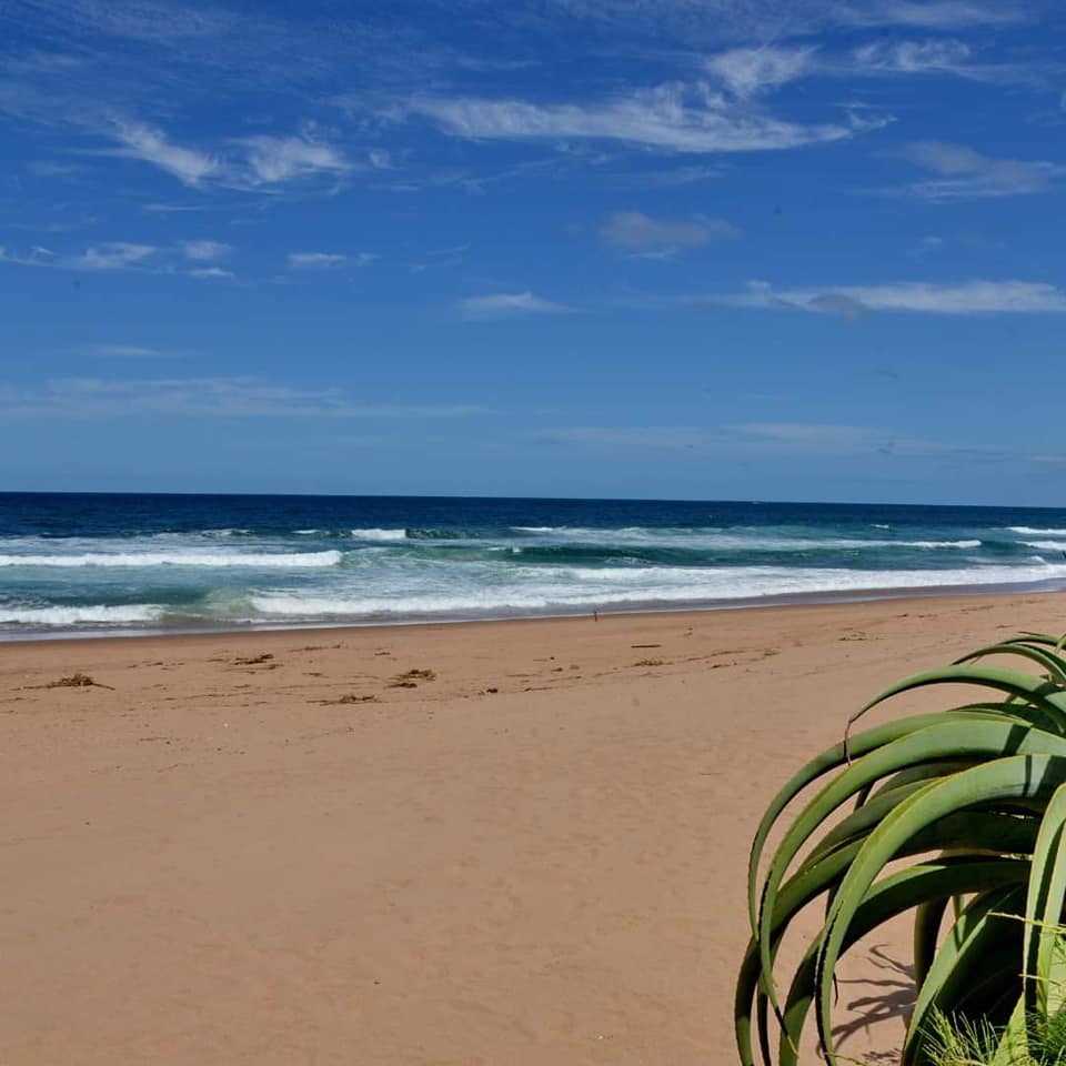 325911870_922189865466296_5322330161209924938_n (1) 325911870_922189865466296_5322330161209924938_n (1)