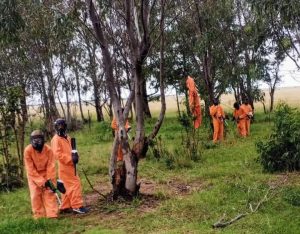 Paintball in the woods